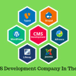 Top 10 CMS Development Company In The USA 2019