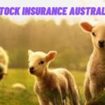 Livestock Insurance Australia