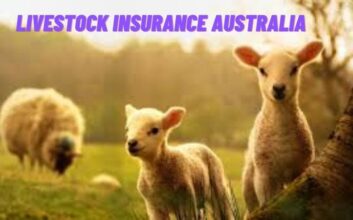 Livestock Insurance Australia