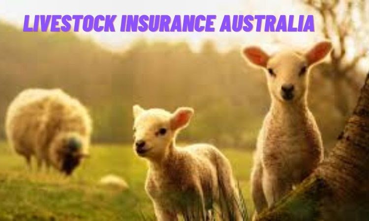 Livestock Insurance Australia