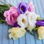 Bouquets for Different Type of Occasion, Sympathy, and Funerals