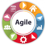 Test Case Management in Agile Projects