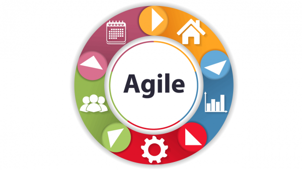 Test Case Management in Agile Projects