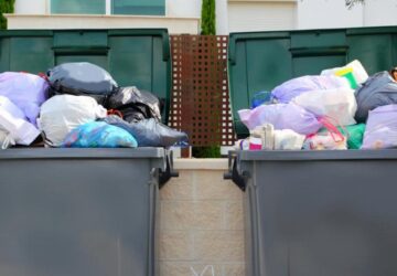 Waste Auditors Do to Save Your Waste Management Costs