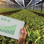 Digital Agriculture solutions and their benefits in 2021