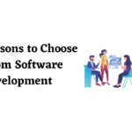 Custom Software Development