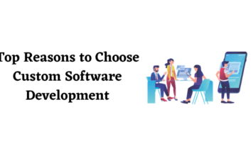 Custom Software Development