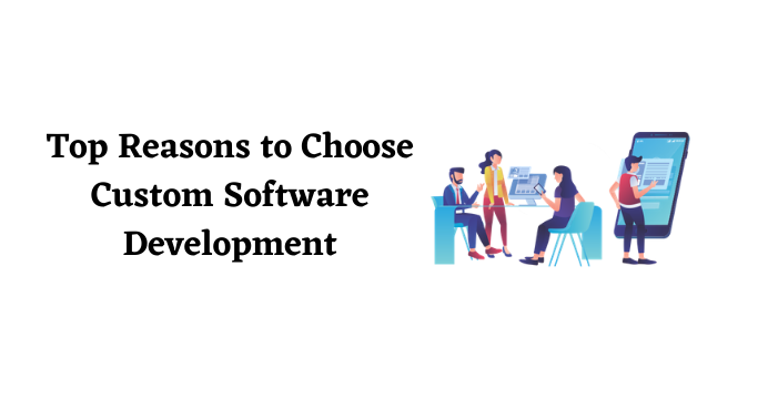 Custom Software Development