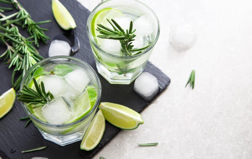 Genesis of Gin and How to Drink it Right