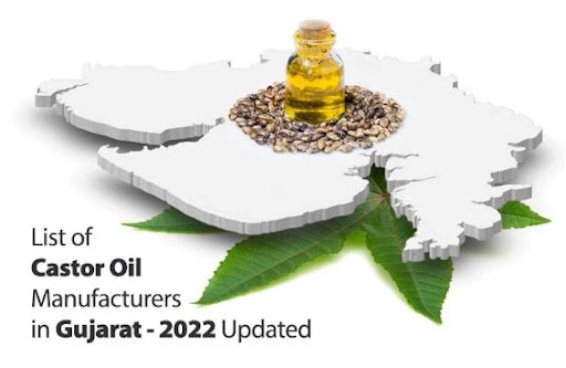 List of Castor Oil Manufacturers in Gujarat - 2022 Updated