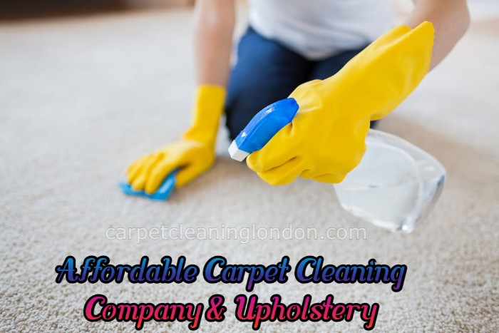 Affordable Carpet Cleaning Company & Upholstery