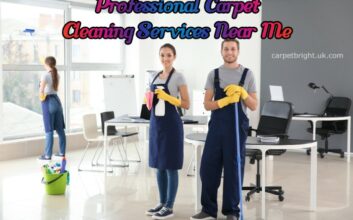 Professional Carpet Cleaning Services Near Me