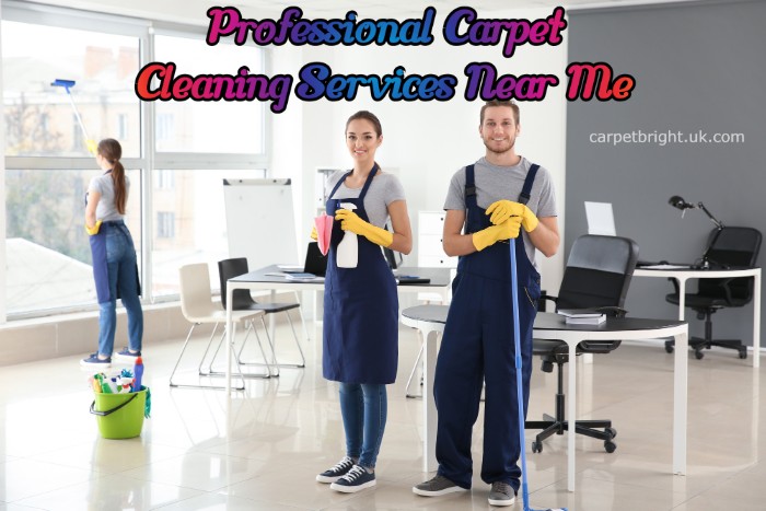 Professional Carpet Cleaning Services Near Me