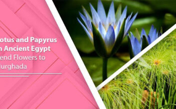 Lotus and Papyrus in Ancient Egypt - Send Flowers to Hurghada