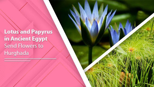 Lotus and Papyrus in Ancient Egypt - Send Flowers to Hurghada