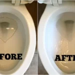 Tips for Removing Hard Water Stains from Your Toilet