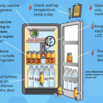 Best Practices for Storing Vaccines in Medical Refrigeration