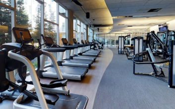 Effective Financial Management for Gym Businesses