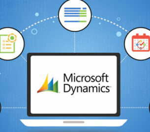 Partnering with Microsoft Dynamics NAV in the UAE for Maximum Profitability
