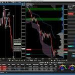 How Forex Management Software Can Save Traders Time and Money