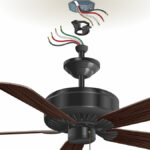 Ceiling fan