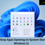 How to Stop Apps Opening on System Startup in Windows 11