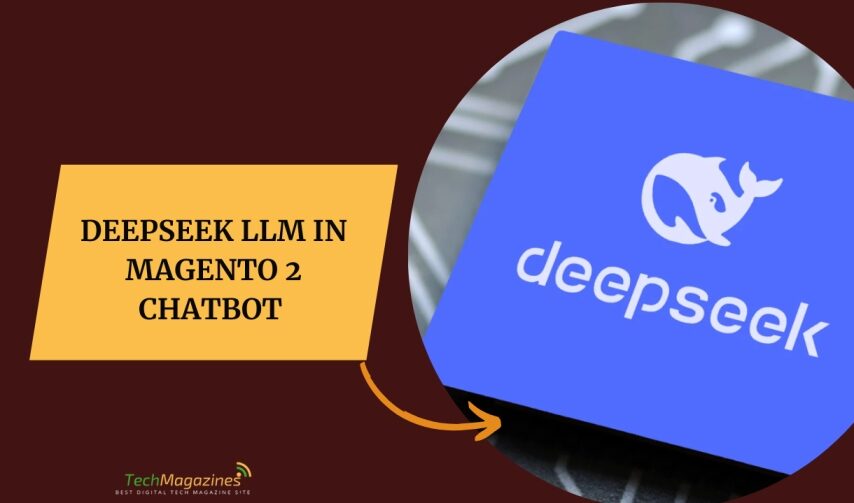 DeepSeek LLM in Magento 2 Chatbot 
