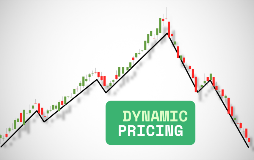 Dynamic Pricing in E-commerce