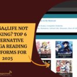 Manga4Life Not Working