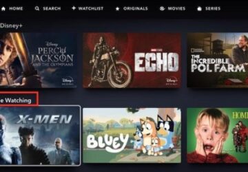 Remove Titles From 'Continue Watching' on Disney Plus (1)