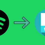 Download Spotify Music Playlist to MP3