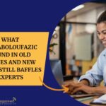 What Hizzaboloufazic Found In