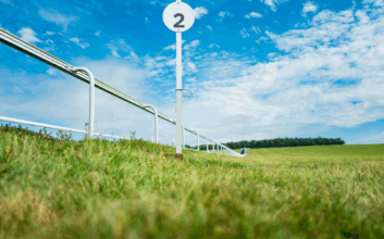 races could the Irish dominate