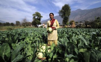 Crop Switching and the Fertilizer Reset