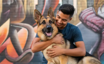 AI Image and Video Tool Platforms: Transforming Digital Creativity The development of AI has transformed the creation, editing, and sharing of digital content at a very rapid rate. One of the most influential things is the platform of AI images and video tools that have allowed people and companies to create high-quality visual materials with very little technical skill. Such platforms are a synthesis of powerful machine learning algorithms with simple user interfaces, allowing creative production faster, more accessible, and productive than ever. Social media makers and marketing agencies, as well as teachers, have made AI-driven visual solutions a key component of contemporary digital processes. What Is an AI Image and Video Tool Platform? An AI image and video tool platform is an online platform that supports visual material by means of artificial intelligence to create, modify, improve, or alter visual content. These platforms automate such complicated processes as image enhancements, background removal, video editing, animation, and content generation rather than only using manual editing. Analyzing trends in the data, AI models are able to comprehend visual items such as faces, items, lighting, and movement, and audio synchronization. This enables users to produce professional-looking images and videos with much less time and effort than the old-fashioned modes. Key Capabilities of AI Image Tools AI image tools are aimed at improving and creating picture images. Such typical features are upscale of images, noise reduction, color correction, replacing the background, and removal of objects. Other sites can also be used to create completely new images based on text descriptions, which creates new opportunities to design and express creativity. The capabilities are particularly useful in: Advertising posters and images. E-commerce product images Social media graphics Presentation and educational materials. AI image tools can empower more individuals to engage in visual storytelling since designing does not require sophisticated design knowledge. How AI Video Tools Are Changing Content Creation Motion-based content AI video tools bring these features to motion-based material. They are able to automate video trimming, scene detection, subtitle generation, face tracking, and application of visual effects. There are even sites that allow text-to-video production where the user can create a video based on a written script. This automation greatly reduces the production schedules. Tasks that previously would have taken hours to be manually edited could now be done in just minutes. Consequently, companies are able to generate greater content on a regular basis without having to raise production expenses. AI video tools are commonly used for: Social media videos Instruction and learning materials. Explorer and promotional videos. Entertainment content in short forms. Accessibility and Efficiency for All Users Accessibility is one of the largest strengths of the AI image and video tool platforms. These applications are accessible to all users, amateur or professional. Drag and drop functionality and intuitive dashboards decrease the learning curve and enable visual creation to be easier. Another significant advantage is efficiency. AI works with manual repetitive tasks or complicated tasks and performs the necessary duties, while creators can concentrate on the idea, storytelling, and strategy instead of editing details. The change enhances productivity and minimizes creative burnout. Impact on Businesses and Digital Marketing In the case of businesses, AI image and video systems give them an edge over competitors. Branding, advertising, and engaging the audience with quality pictures are the main requirements, and AI simplifies ensuring visual consistency across channels. Marketing teams are able to make visuals adjusted to various platforms fast and experiment with creative options in addition to reacting to trends in real time. Startups and small businesses, to be more specific, are benefiting from the AI tools since they do not seem to need extensive creative teams or costly production assets. Ethical and Creative Considerations Even though AI-driven platforms can be of enormous value, responsible usage is a factor to consider. When creating or altering visual material, creators must keep in mind copyright, authenticity, and transparency. AI is not supposed to substitute ethical judgment and originality, but to make it more creative. The industry standards and best practices are also emerging as these platforms keep changing, and they are expected to create fair and responsible provisions in the use of these. The Future of AI Image and Video Platforms The future of the AI image and video tool platform is towards increased personalization, real-time collaboration, and even more user-friendly methods of creation. As AI models improve, the visual content will become more realistic, personalized, and intentional. Other digital tools like content management systems, social platforms, and analytics will be further integrated to streamline creative workflows and decision-making. Conclusion The platforms of AI image and video tools have radically changed the production of digital content. These platforms provide creators and businesses with the capability to generate content of high quality regularly because they automate complex visual tasks and make advanced capabilities more accessible to more people. With the further development of technology, AI will be even more used in a new way in which images and videos are created, edited, and shared. This does not make AI image and video tools merely productivity tools, but highly effective facilitators of contemporary creativity and communication as long as they are responsibly used and with a clear purpose.