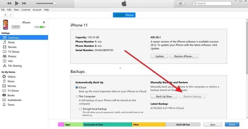 choose restore backup