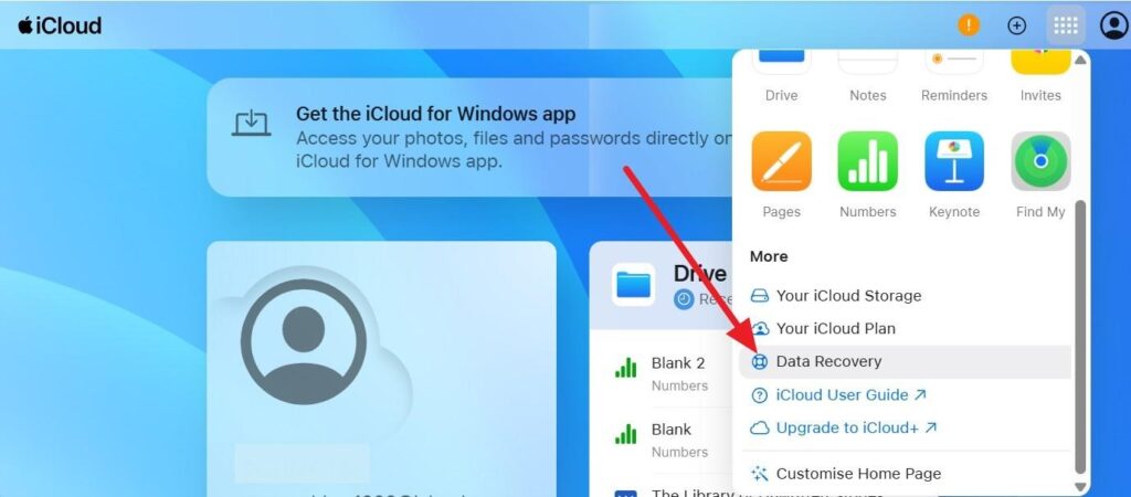 tap data recovery option