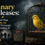 Canary Releases: The Bird That Tests the Air Before Everyone Else Breathes It